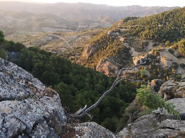 Vista Mora Sierra Cazorla * La Iruela